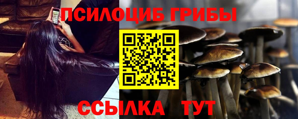Галлюциногенные грибы мухоморы  Вход с VPN  Кировск  Псилоцибиновые грибы ЛСД 